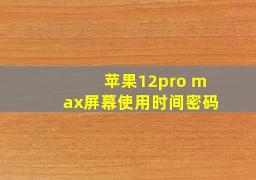 苹果12pro max屏幕使用时间密码